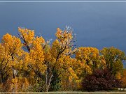 CO 140