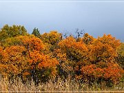 CO 140