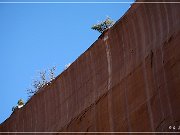 CO 141