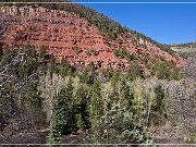 CO 145