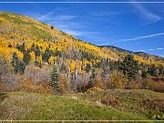 CO 145