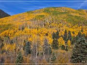 CO 145