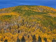 CO 145