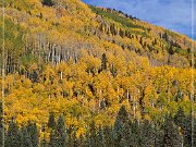 CO 145
