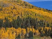 CO 145