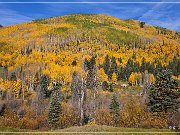CO 145