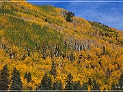 CO 145