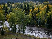 CO 17