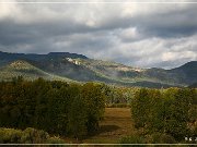 CO 17