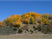 US 50