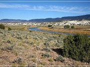 Dinosour NM