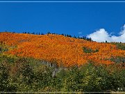 Grand Mesa