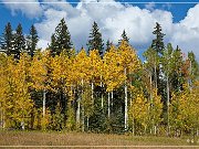 Million Dollar Highway