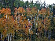 Million Dollar Highway