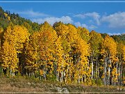 Million Dollar Highway