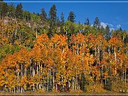 Million Dollar Highway