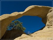 Arco Lindo Arch (NM-504)