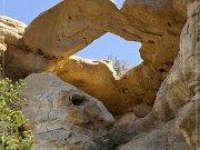 Boomerang Arch