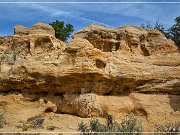 Chaps Arch (NM-309)