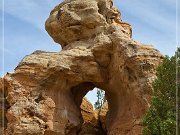 Chaps Arch (NM-309)