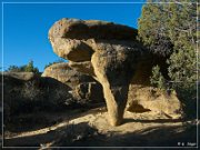 Column Arch (NM-481)