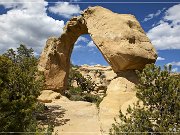 Cox Canyon Arch