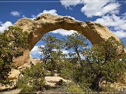 Cox Canyon Arch