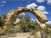 Cox Canyon Arch