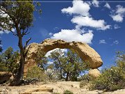 Cox Canyon Arch