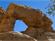 Drill Pad Arch
