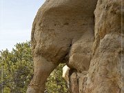Drumstick Arch