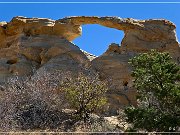 Graceful Arch