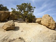 Knickerbocker Arch