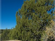 Natural Arch NM-477