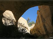 Octopus Arch