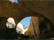 Octopus Arch