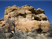 Petroglyph Arch