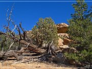 Pump Canyon Arch (NM-031)