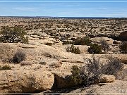 Coyote Arch