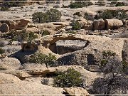 Coyote Arch