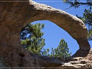 Teakettle Rock
