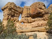 Teardrops Arch (NM-247)