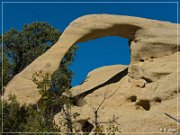 Arco Lindo Arch (NM-504)