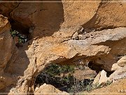 Unnamed Arch NM-06 Kirk Canyon