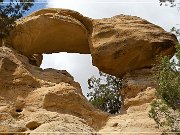 Zig-Zag Arch (NM-048)