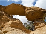 Zig-Zag Arch (NM-048)