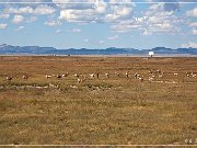 VLA Telescope