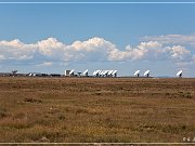 VLA Telescope