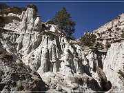 White Cliffs