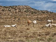 arroyo_piedra_lumbre03_2008_27